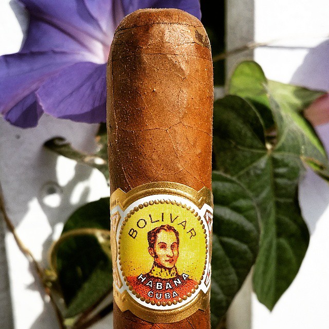 Bolivar Petit Corona Mareva Cuban Cigar